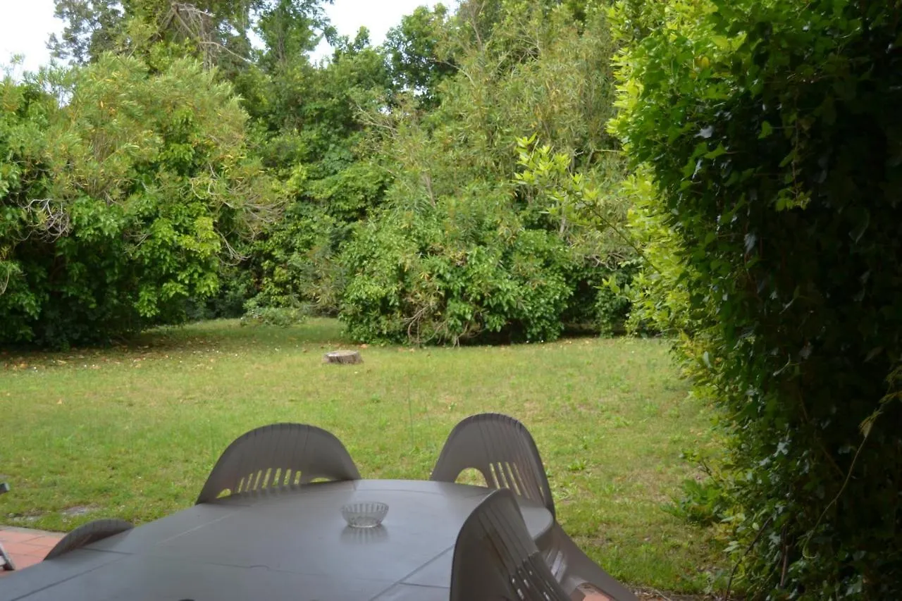 Meloria Apartament Apartment Tirrenia